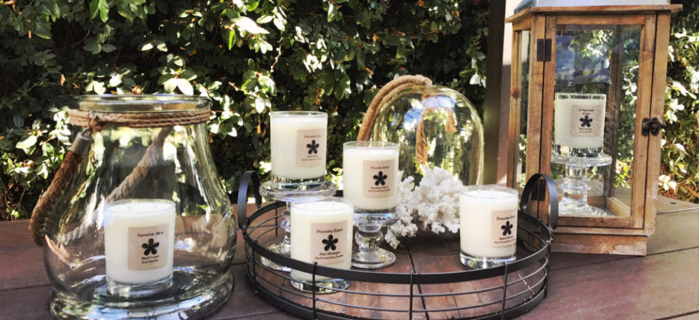 Plumeria Scents - Hand Poured Soy Candles